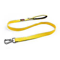 Tailpetz Match Leash Gezdirme Kayışı Neon Sarı M - Tailpetz