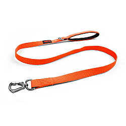 Tailpetz Match Leash Gezdirme Kayışı Neon Turuncu S - Tailpetz