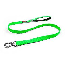 Tailpetz Match Leash Gezdirme Kayışı Neon Yeşil M - Tailpetz