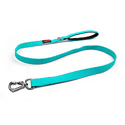 Tailpetz Match Leash Gezdirme Kayışı Turkuaz S - Tailpetz