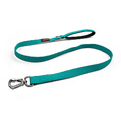 Tailpetz Match Leash Gezdirme Kayışı Zümrüt M - Tailpetz
