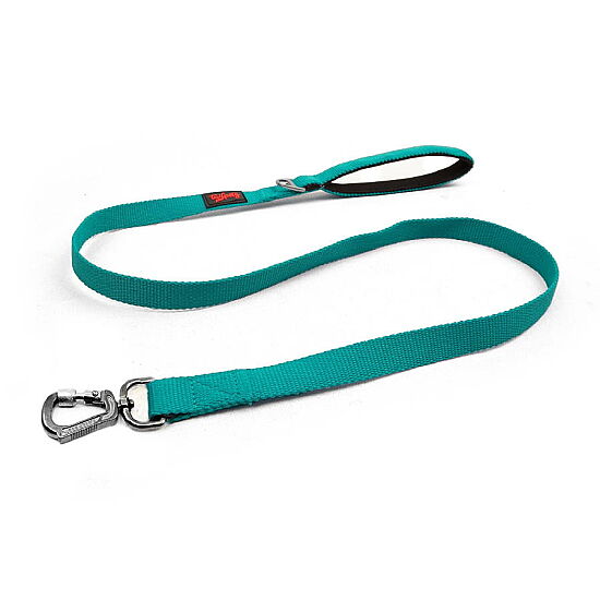 Tailpetz Match Leash Gezdirme Kayışı Zümrüt M - 1