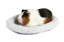 Trixie Hamster Yatağı 16 x 13 Cm - Thumbnail