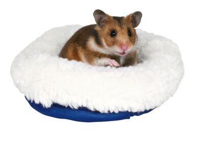 Trixie Hamster Yatağı 16 x 13 Cm