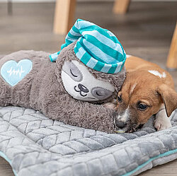 Trixie Junior Tembel Hayvan Peluş Köpek Oyuncağı 34 Cm - 5