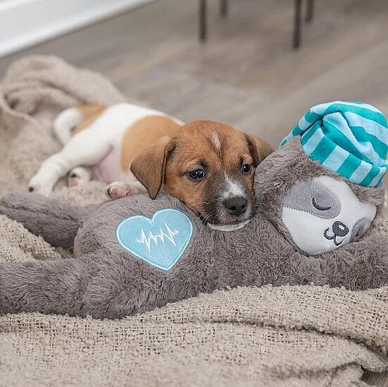 Trixie Junior Tembel Hayvan Peluş Köpek Oyuncağı 34 Cm - 6