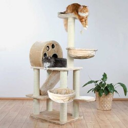 Trixie Kedi Allora Oyun Evi - Trixie