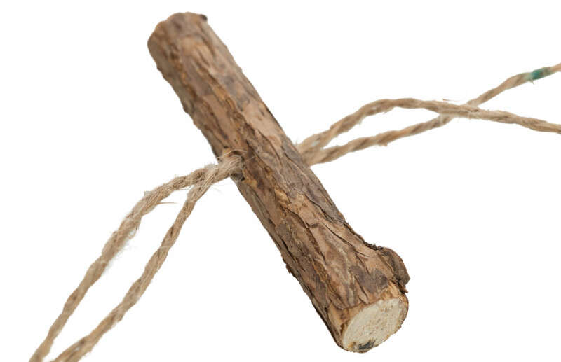 Trixie Kedi Boncuklu Matatabi Oyuncağı 44cm Kedi Oyuncakları Trixie