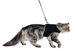 Trixie - Trixie Kedi Göğüs Tasma Seti XLarge 36 - 54 cm 120 Cm