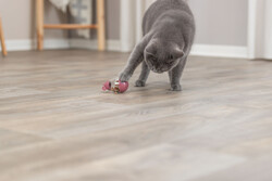 Trixie Kedi Ödül Oyun Topu Oyuncağı Ödüllü Fare 9 Cm - Thumbnail