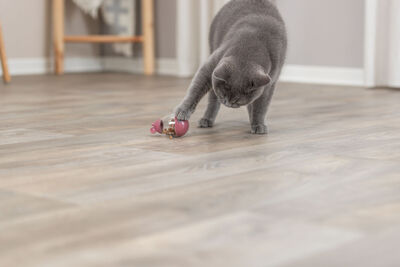 Trixie Kedi Ödül Oyun Topu Oyuncağı Ödüllü Fare 9 Cm
