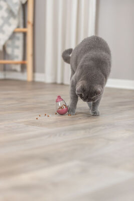 Trixie Kedi Ödül Oyun Topu Oyuncağı Ödüllü Fare 9 Cm
