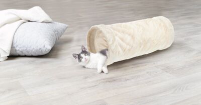 Trixie Kedi Peluş Oyun Tüneli 22 x 60 Cm Bej Trixie Kedi Peluş Oyun Tüneli 22 x 60 Cm Bej