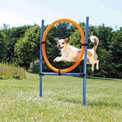 Trixie Köpek Agility Eğitim Çemberi 115 x 3 Cm x 65 Cm - Thumbnail