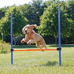 Trixie Köpek Agility Eğitim Manisi, 129 x 115 x 3 cm - Thumbnail