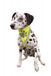 Trixie Köpek Bandanası L - XL / 42 - 60 cm - Thumbnail