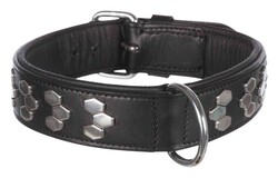 Trixie Köpek Boyun Tasması, Gerçek Deri, L-XL:55 - 65cm/40mm, Siyah - Trixie