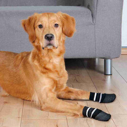 Trixie - Trixie Köpek Çorabı, Kaymaz, L - XL, 2 Adet, Siyah