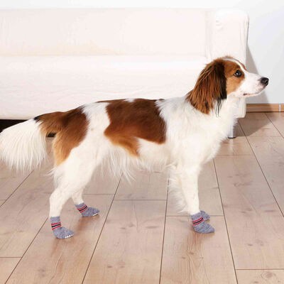 Trixie Köpek Çorabı, Kaymaz, XL, 2 Adet, Gri
