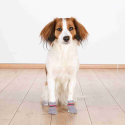 Trixie Köpek Çorabı, Kaymaz, XL, 2 Adet, Gri - Thumbnail