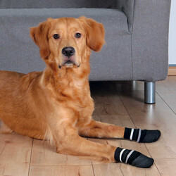 Trixie Köpek Çorabı, Kaymaz, XL, 2 Adet, Siyah - Trixie