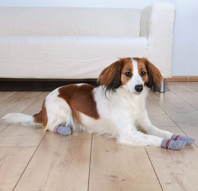 Trixie Köpek Çorabı L - XL ( German Shepherd )