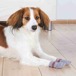 Trixie Köpek Çorabı L - XL ( German Shepherd ) - Thumbnail