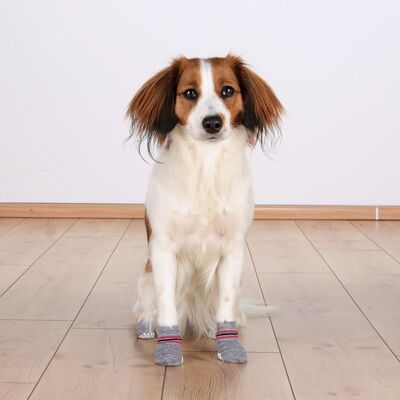 Trixie Köpek Çorabı Xxs - Xs ( Yorkshire Terrier )