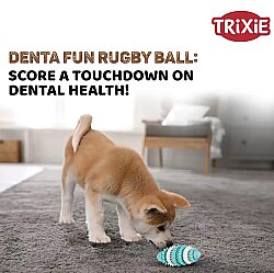 Trixie Köpek Diş Bakım Oyuncağı, Doğal Kauçuk 15 cm - 2