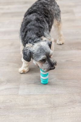 Trixie Köpek Diş Bakım Sağlığı Oyuncağı Dental 11 Cm