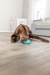 Trixie Köpek Diş Bakım Sağlığı Oyuncağı Dental 11 Cm - Thumbnail