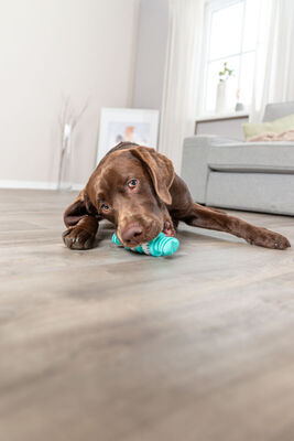 Trixie Köpek Diş Bakım Sağlığı Oyuncağı Dental 11 Cm