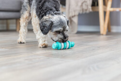 Trixie Köpek Diş Bakım Sağlığı Oyuncağı Dental 15 Cm - Thumbnail