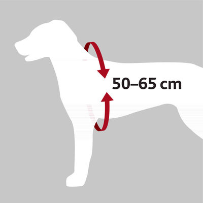 Trixie Köpek Emniyet Kemeri ve Göğüs Tasması, M: 50 - 65 cm / 20 mm, Siyah