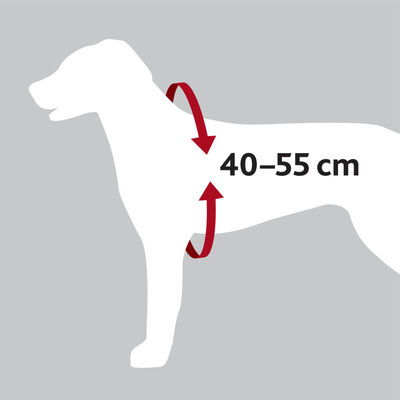 Trixie Köpek Emniyet Kemeri ve Göğüs Tasması, S - M: 40 - 55 cm / 17 mm, Siyah