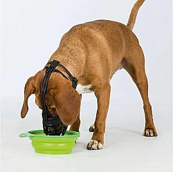 Trixie Köpek Esnek Silikon Köpek Ağızlığı, L - 4