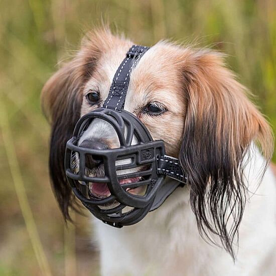 Trixie Köpek Esnek Silikon Köpek Ağızlığı, L - 7