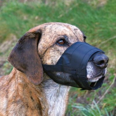 Trixie Köpek Fileli Ağızlık L, Burun 18 - 28 cm
