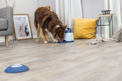 Trixie Elektronik Köpek Hafıza Oyunu 20 x 24 cm