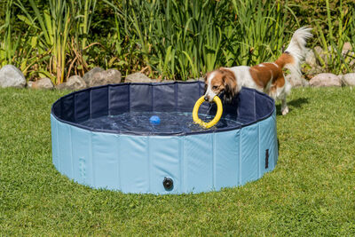 Trixie Köpek Havuzu Çap 120 cm Derinlik 30 cm