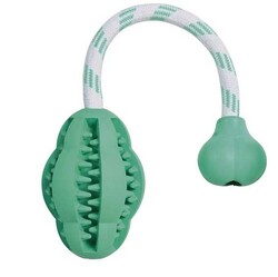 Trixie Köpek İpli Diş Sağlığı Top Oyuncağı Dental 28 Cm - Trixie