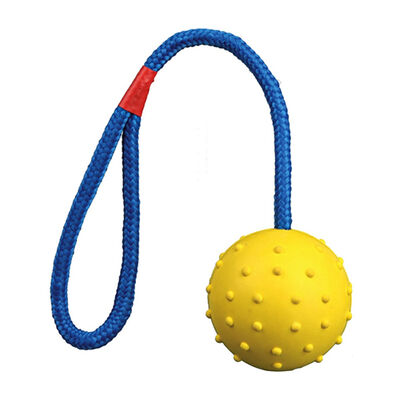 Trixie Köpek İpli Top Oyuncağı 6 cm - 30 cm