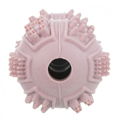 Trixie Köpek Kauçuk Diş Bakım Ödüllü Oyuncak 9 Cm