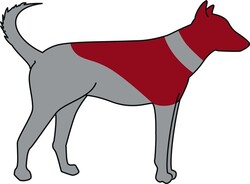 Trixie Köpek Koruyucu Şişme Yakalık 45-57 Cm M-L Mavi - 3