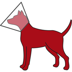 Trixie Köpek Koruyucu Yakalık M: 36 - 43 cm / 18 cm - Thumbnail