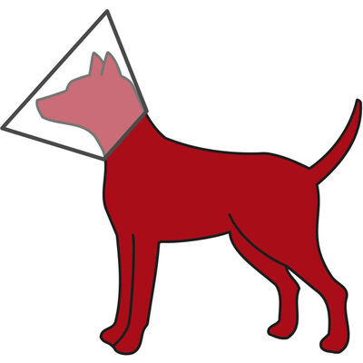 Trixie Köpek Koruyucu Yakalık S - M: 30 - 37 cm / 14 cm