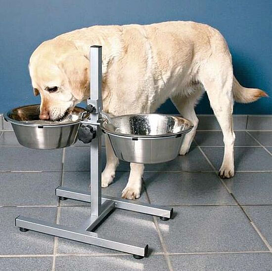 Trixie Köpek Mama ve Su Kabı Ayaklı 2 x 2,8 L / 24 Cm - 2