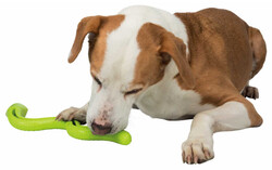 Trixie Köpek Ödül Oyuncağı Yeşil Yılan 42 Cm - Trixie
