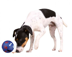 Trixie Köpek Ödül Topu, 11 cm - Thumbnail