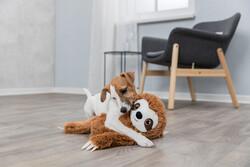 Trixie Köpek Oyuncağı, Peluş Tembel Hayvan, 56 Cm - Thumbnail